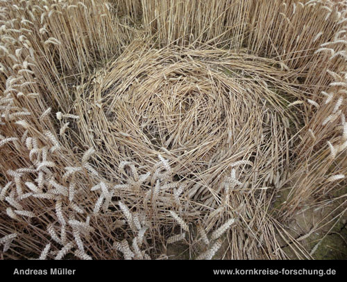 Wickham Green (North of M4), Berkshire crop circle, aerial photo 156