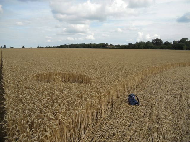 Wickham Green (North of M4), Berkshire crop circle, aerial photo 161