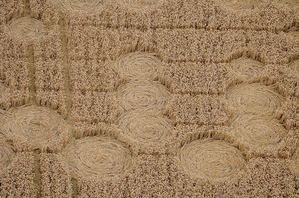 Wickham Green (North of M4), Berkshire crop circle, aerial photo 149