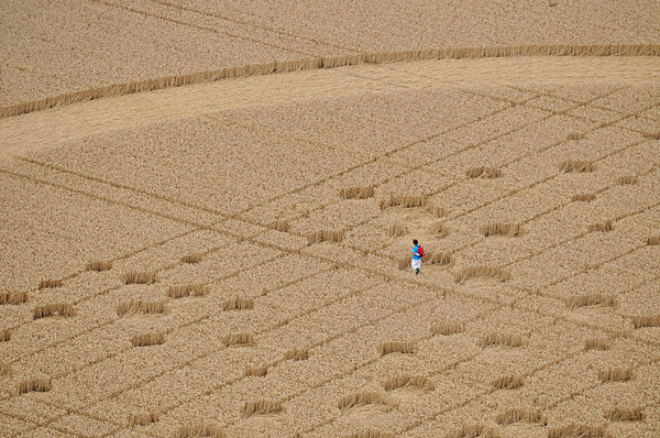 Wickham Green (North of M4), Berkshire crop circle, aerial photo 150