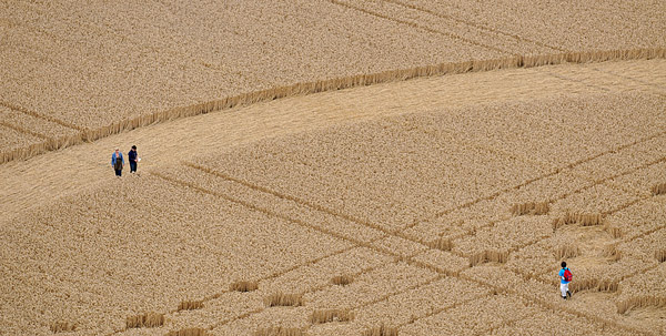 Wickham Green (North of M4), Berkshire crop circle, aerial photo 151