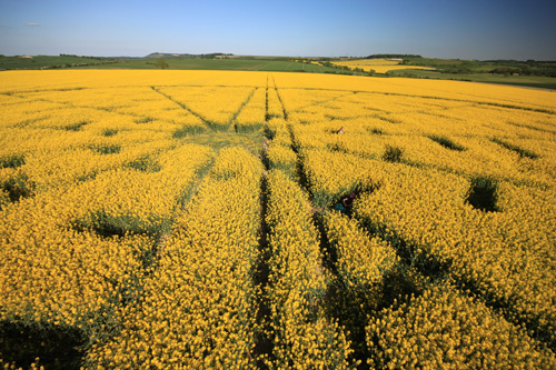 Wilton Windmill, Wiltshire crop circle, aerial photo 50