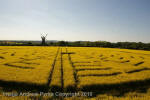 Wilton Windmill, Wiltshire crop circle, aerial photo 52
