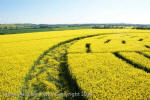 Wilton Windmill, Wiltshire crop circle, aerial photo 59