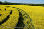 Wilton Windmill, Wiltshire crop circle, aerial photo 58