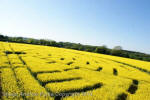 Wilton Windmill, Wiltshire crop circle, aerial photo 54
