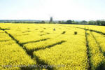 Wilton Windmill, Wiltshire crop circle, aerial photo 61