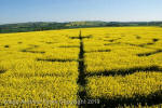 Wilton Windmill, Wiltshire crop circle, aerial photo 53