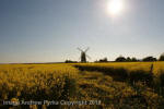Wilton Windmill, Wiltshire crop circle, aerial photo 67