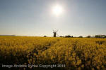 Wilton Windmill, Wiltshire crop circle, aerial photo 68