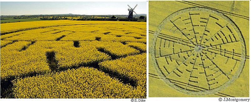 Wilton Windmill, Wiltshire crop circle, aerial photo 14