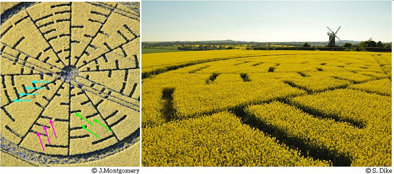 Wilton Windmill, Wiltshire crop circle, aerial photo 15
