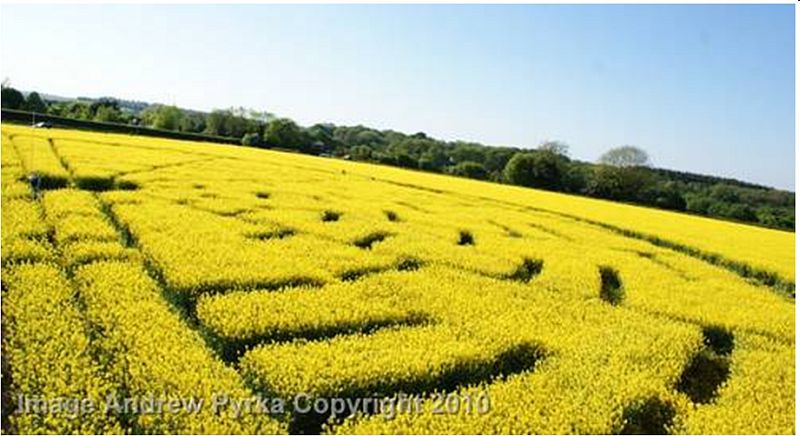 Wilton Windmill, Wiltshire crop circle, aerial photo 19