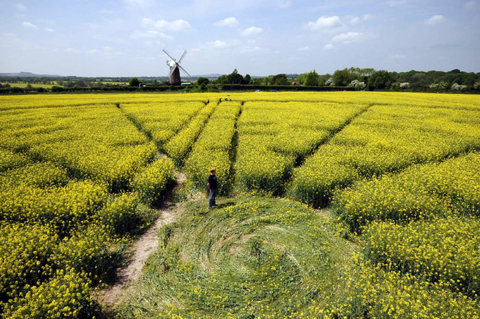 Wilton Windmill, Wiltshire crop circle, aerial photo 47