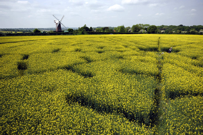 Wilton Windmill, Wiltshire crop circle, aerial photo 46