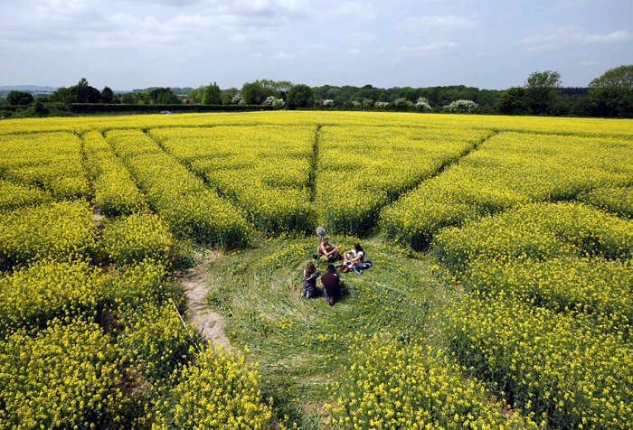 Wilton Windmill, Wiltshire crop circle, aerial photo 45