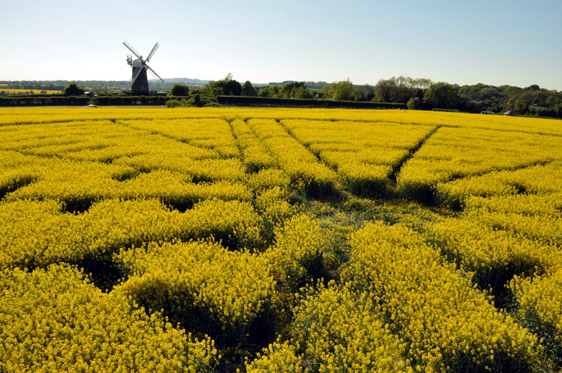 Wilton Windmill, Wiltshire crop circle, aerial photo 41