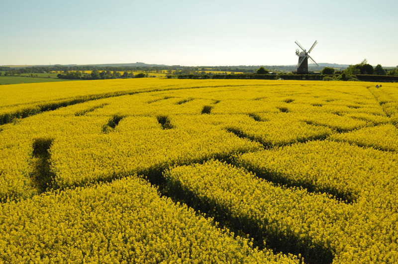 Wilton Windmill, Wiltshire crop circle, aerial photo 42