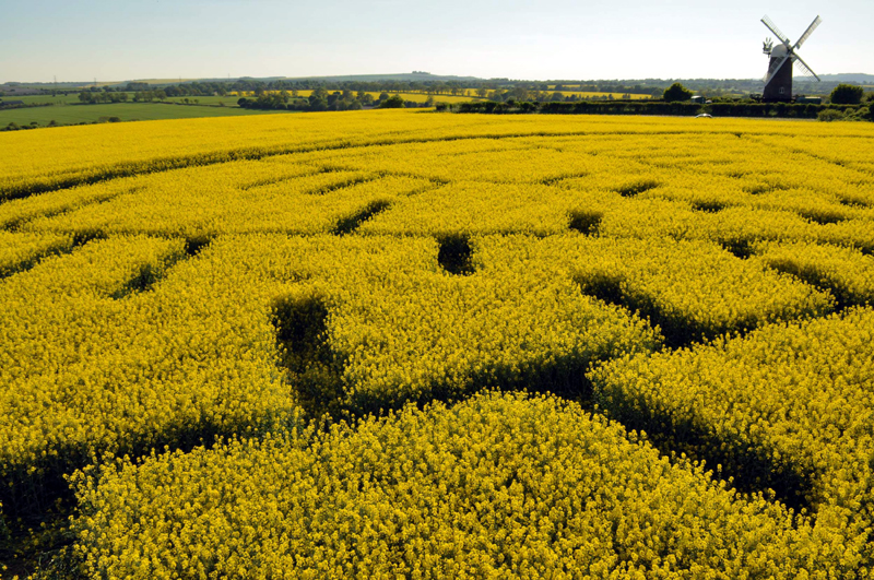 Wilton Windmill, Wiltshire crop circle, aerial photo 40