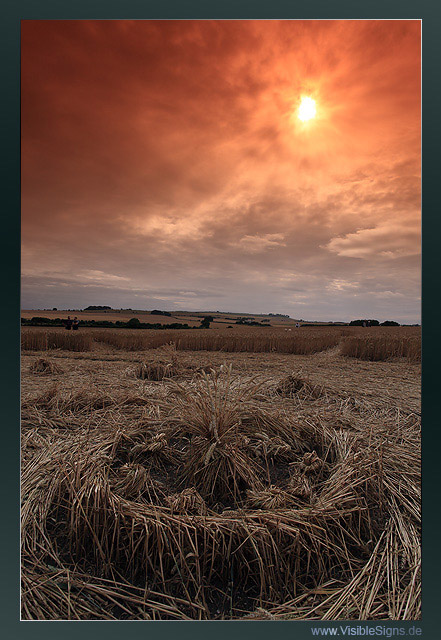 Windmill Hill, Wiltshire crop circle, aerial photo 47