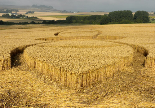 Windmill Hill, Wiltshire crop circle, aerial photo 58