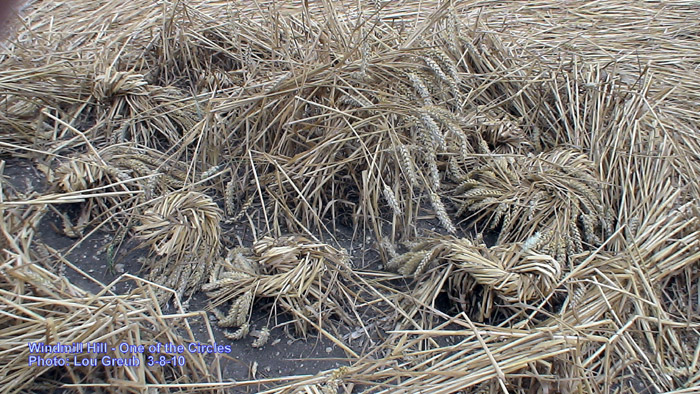 Windmill Hill, Wiltshire crop circle, aerial photo 69