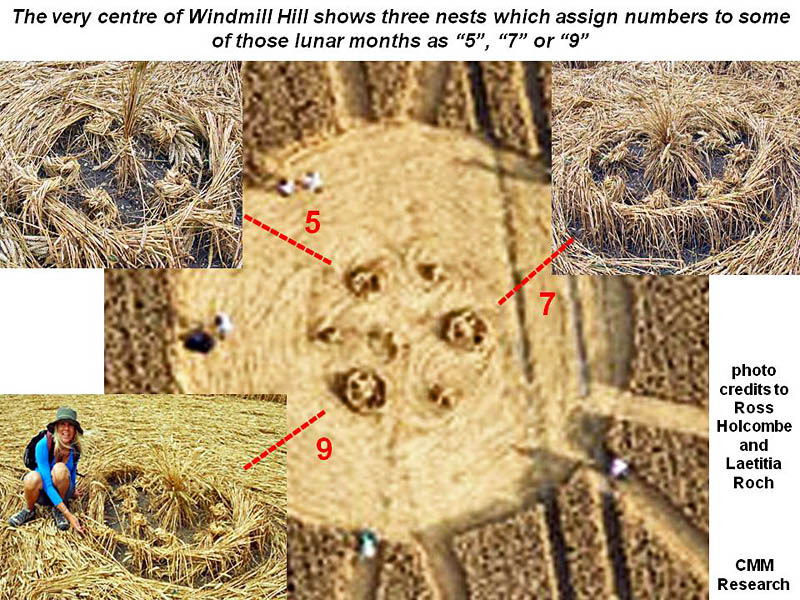Windmill Hill, Wiltshire crop circle, aerial photo 21