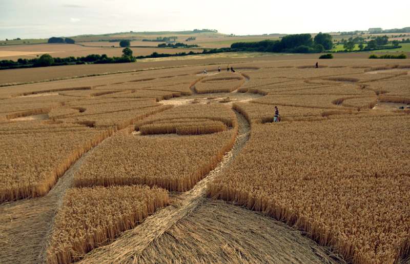 Windmill Hill, Wiltshire crop circle, aerial photo 41