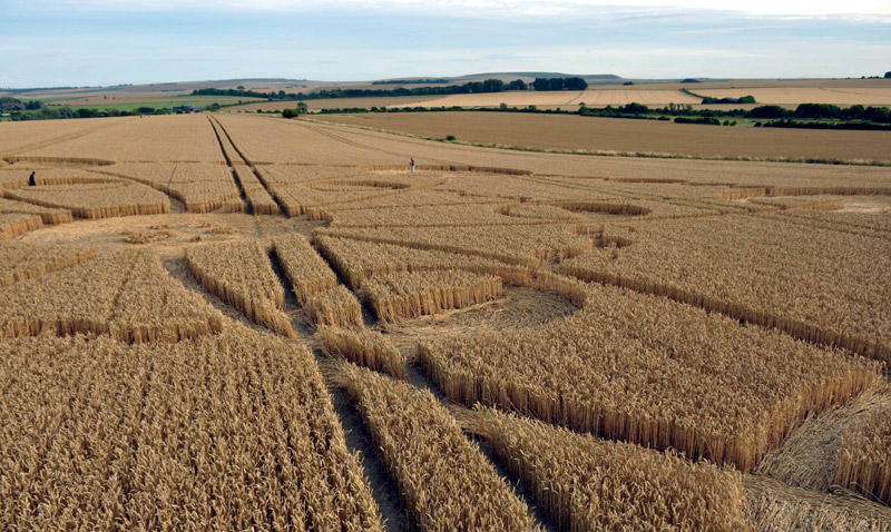 Windmill Hill, Wiltshire crop circle, aerial photo 42