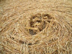 Windmill Hill, Wiltshire crop circle, aerial photo 49