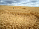 Windmill Hill, Wiltshire crop circle, aerial photo 54