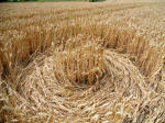 Windmill Hill, Wiltshire crop circle, aerial photo 52