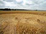 Windmill Hill, Wiltshire crop circle, aerial photo 53