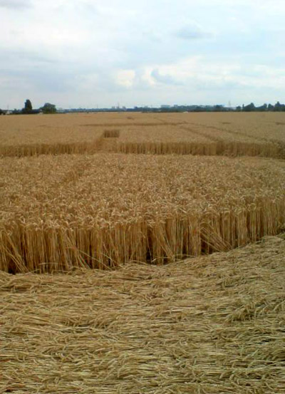 Winters, Essex crop circle, aerial photo 2