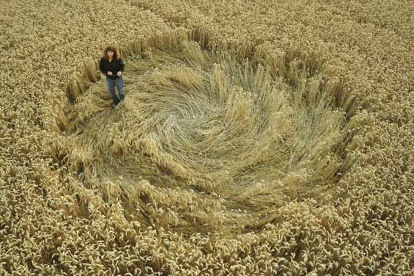 Yatesbury Field, Wiltshire crop circle, aerial photo 2