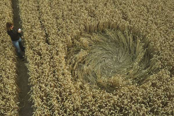 Yatesbury Field, Wiltshire crop circle, aerial photo 3