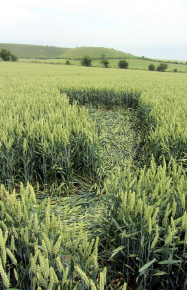 Allington, Wiltshire crop circle, aerial photo 17