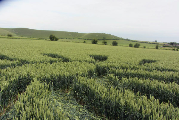 Allington, Wiltshire crop circle, aerial photo 10