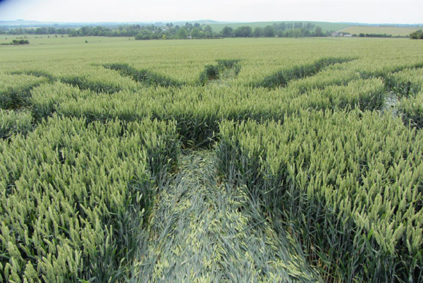Allington, Wiltshire crop circle, aerial photo 11