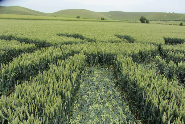 Allington, Wiltshire crop circle, aerial photo 4