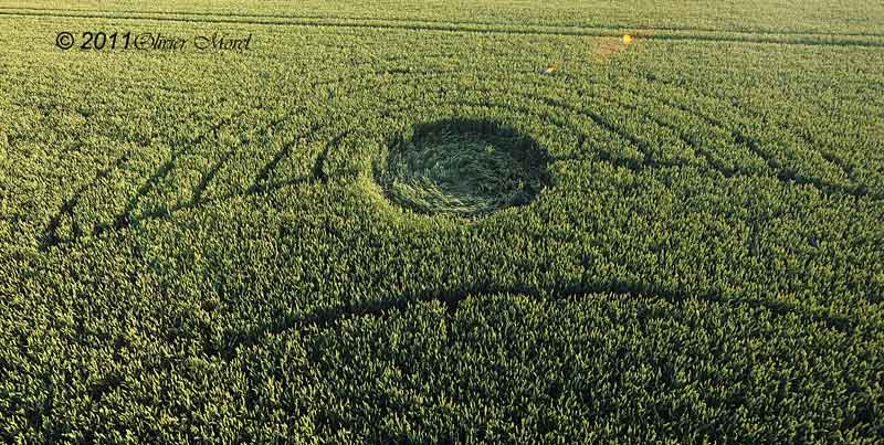 Allington, Wiltshire crop circle, aerial photo 40