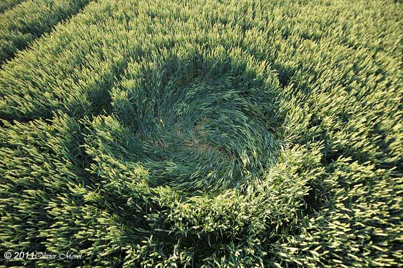 Allington, Wiltshire crop circle, aerial photo 42