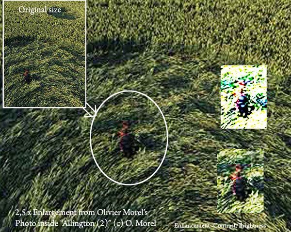 Allington, Wiltshire crop circle, aerial photo 31