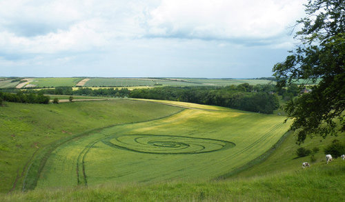 Bluestone Heath Road, Lincolnshire crop circle, aerial photo 8