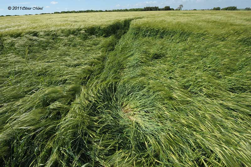 Burderop Down, Wiltshire crop circle, aerial photo 29