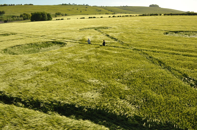 Burderop Down, Wiltshire crop circle, aerial photo 23