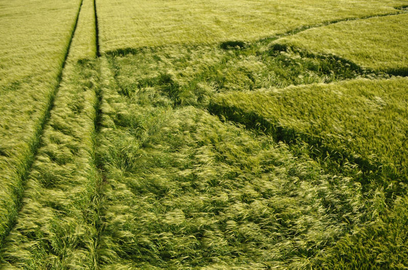 Burderop Down, Wiltshire crop circle, aerial photo 25