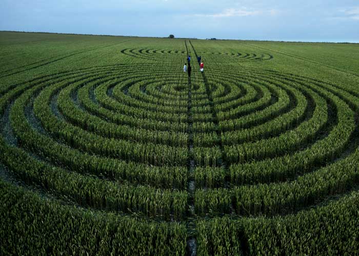 Chaddenwick Hill, Wiltshire crop circle, aerial photo 9
