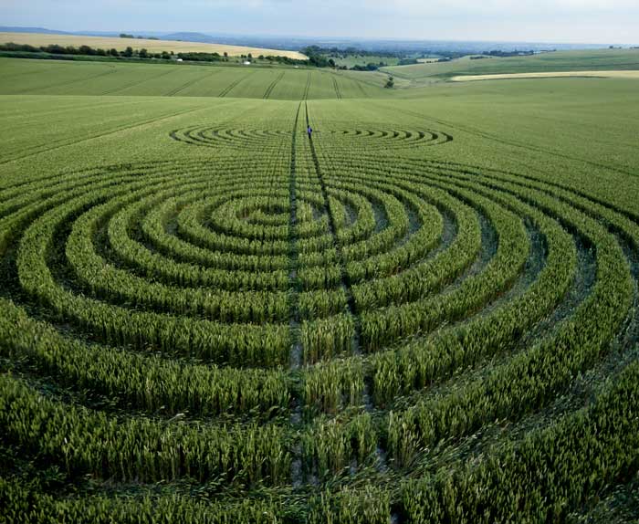 Chaddenwick Hill, Wiltshire crop circle, aerial photo 8