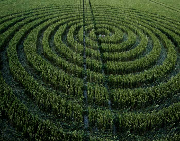 Chaddenwick Hill, Wiltshire crop circle, aerial photo 10